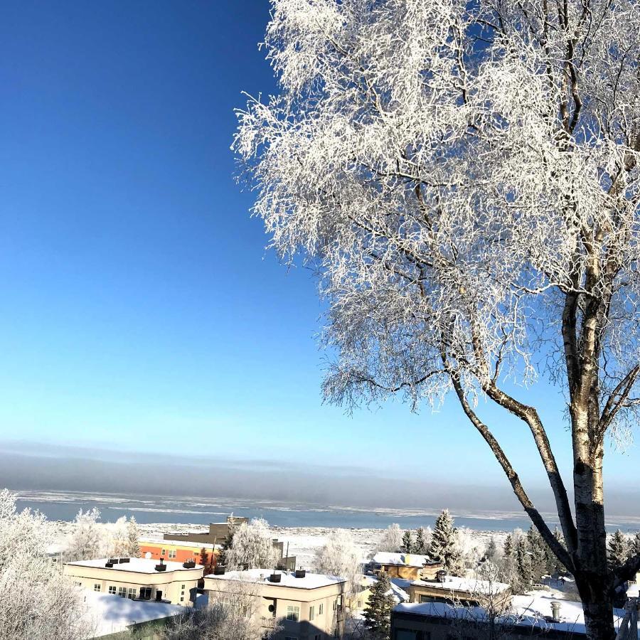 Susitna Place B&B Anchorage Exterior photo